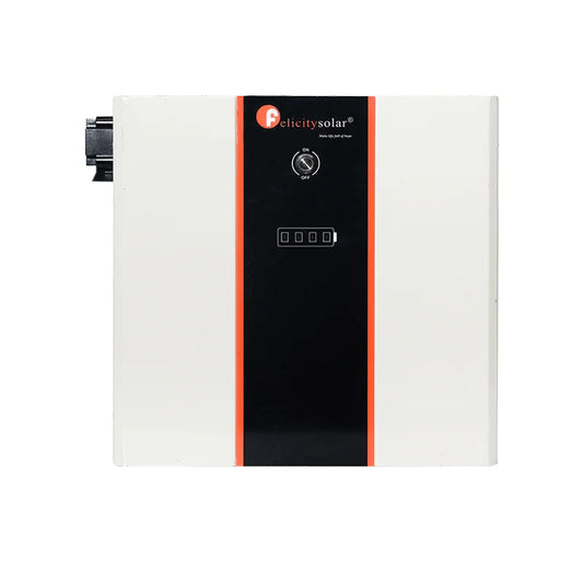 Batería de litio LiFePO4 5Kwh 24V 200A (montaje a muro)